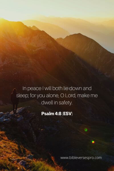 Psalm 4_8 (Esv)