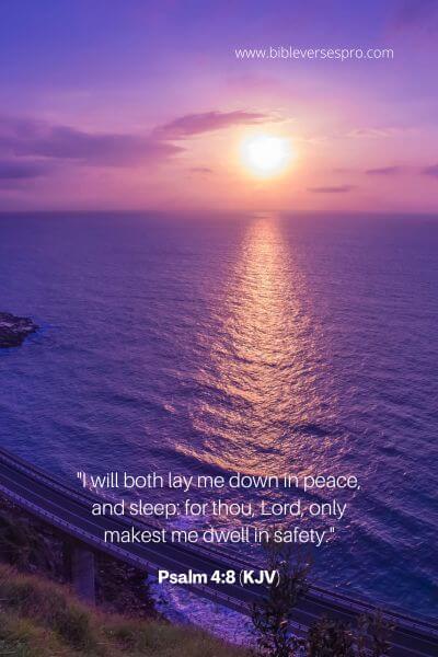 Psalm 4_8 (KJV)