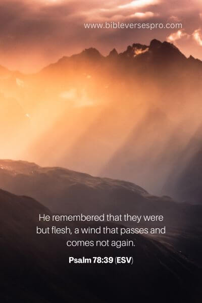 Psalm 78_39 (Esv)