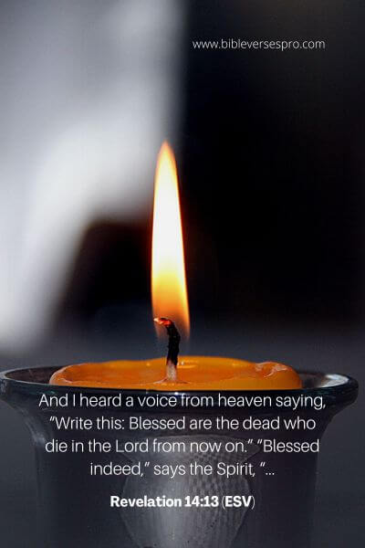 Revelation 14_13 (Esv)