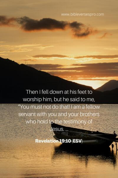 Revelation 19_10 (ESV)