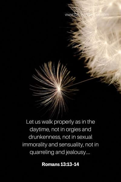 Romans 13_13-14