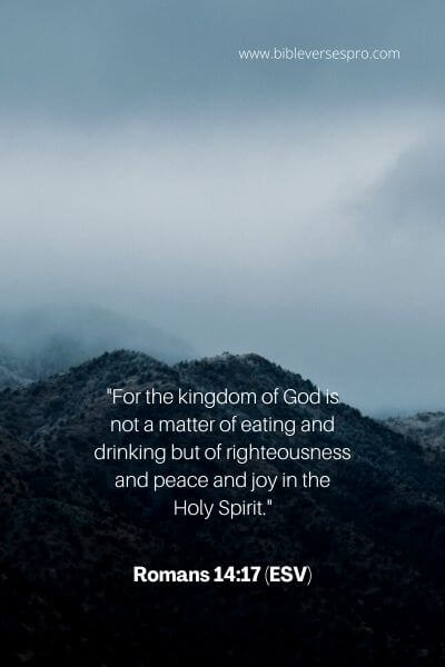 Romans 14_17 (Esv)