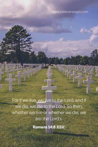 Romans 14_8 (ESV)