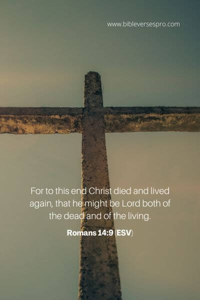 Romans 14_9 (Esv)