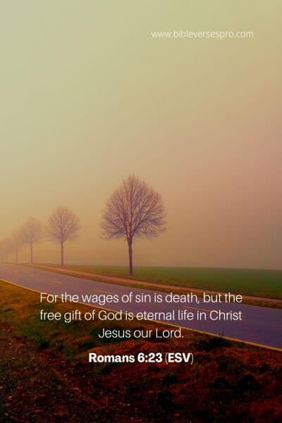 Romans 6_23 (Esv)