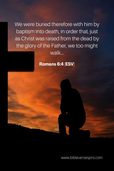 Romans 6_4 (Esv)