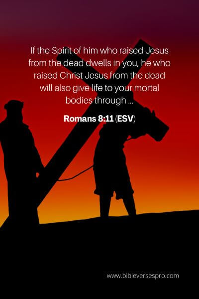 Romans 8_11 (Esv)