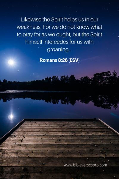 Romans 8_26 (Esv)