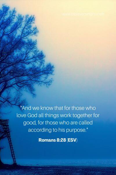 Romans 8_28 (Esv)