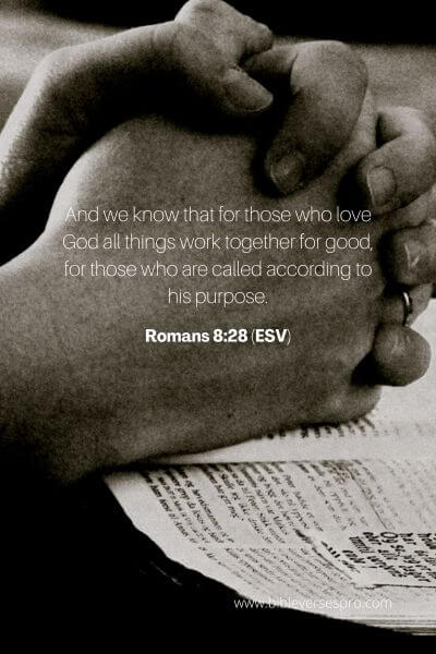 Romans 8_28 (ESV)