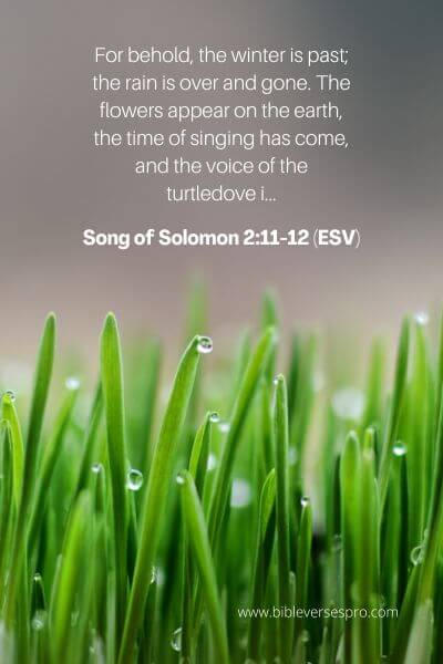 Song Of Solomon 2_11-12 (Esv)