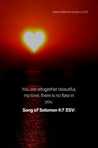 Song Of Solomon 4_7 (Esv)