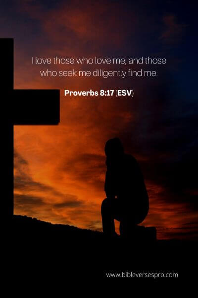 Proverbs 8:17 (Esv)