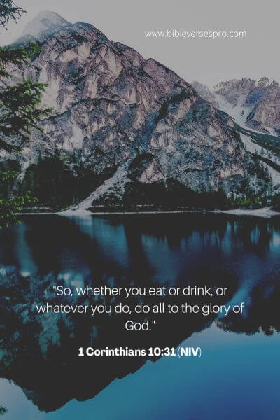 1 Corinthians 10_31 (Niv)