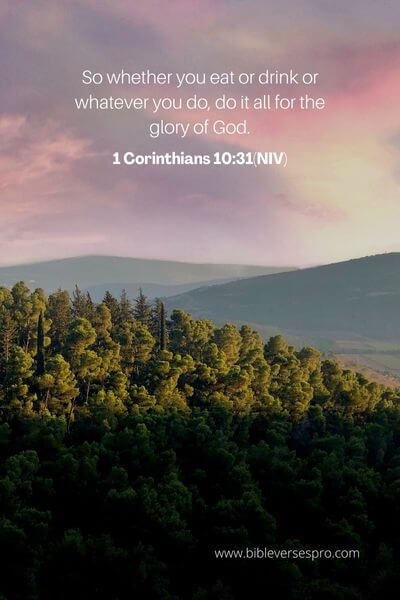 1 Corinthians 10_31(Niv)