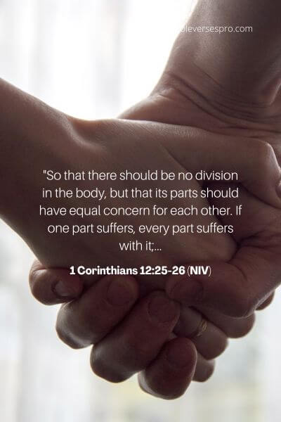 1 Corinthians 12_25-26 (Niv)