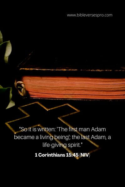 1 Corinthians 15_45 (Niv)