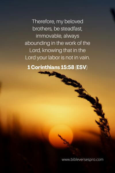 1 Corinthians 15_58 (ESV)