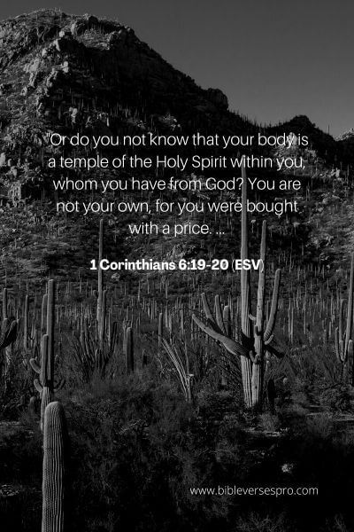 1 Corinthians 6_19-20 (Esv)