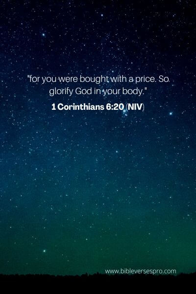 1 Corinthians 6_20 (Niv)