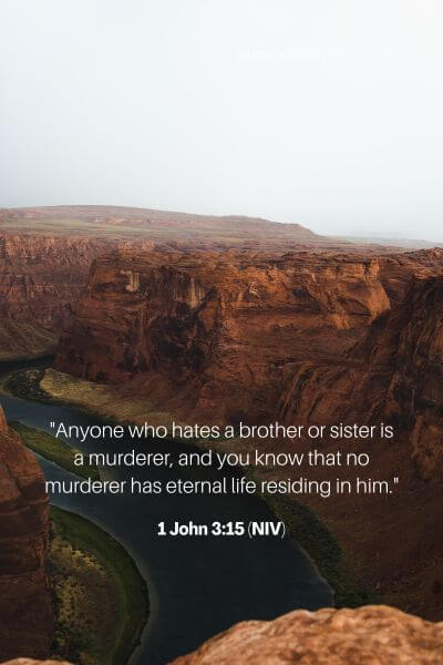 1 John 3_15 (Niv)