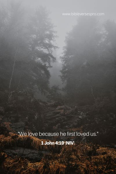 1 John 4_19 (Niv)