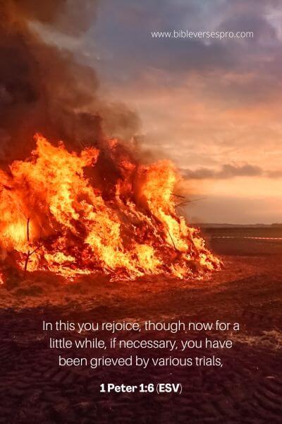 1 Peter 1_6 (Esv)