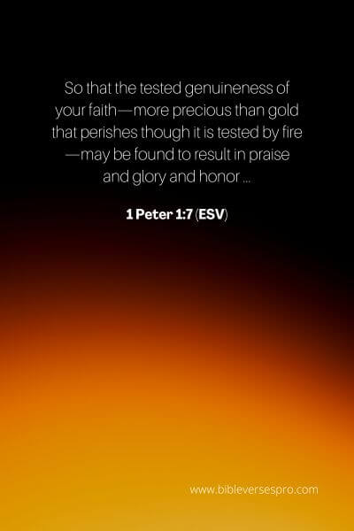 1 Peter 1_7 (Esv)