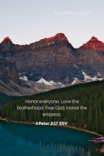 1 Peter 2_17 (Esv)