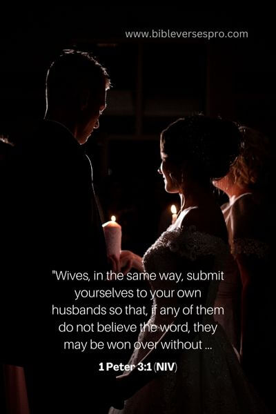 1 Peter 3_1 (Niv)