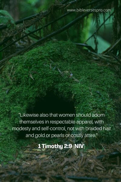 1 Timothy 2_9 (Niv)