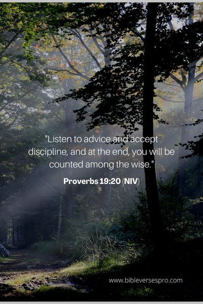 Proverbs 19_20 (NIV)