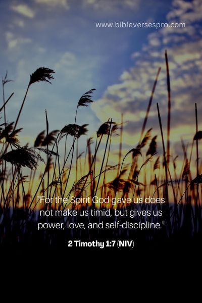 2 Timothy 1_7 (Niv)