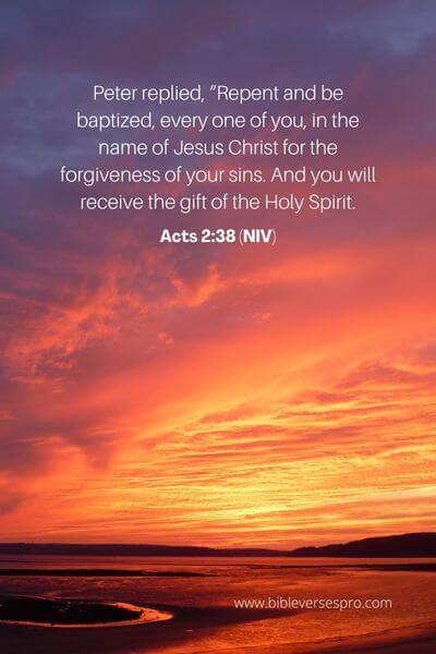 Acts 2_38 (Niv)