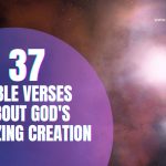 BIBLE VERSES ABOUT GOD'S AMAZING CREATION (1)