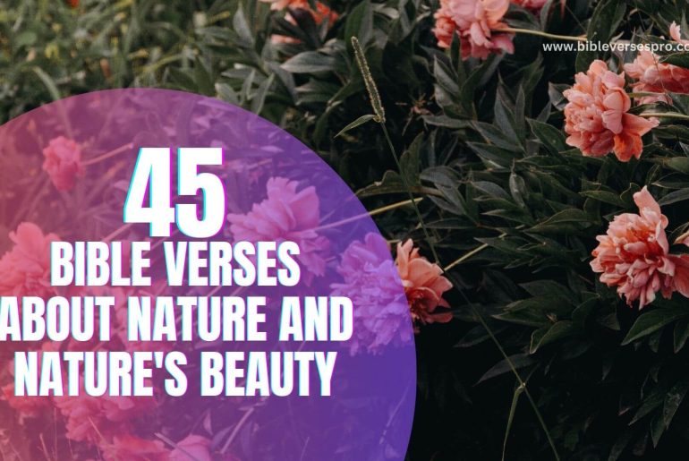 Bible Verses About Nature And Nature'S Beauty (1)