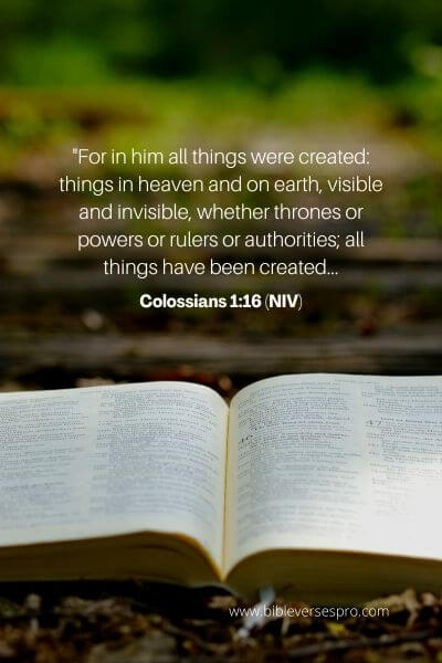 Colossians 1_16 (Niv)