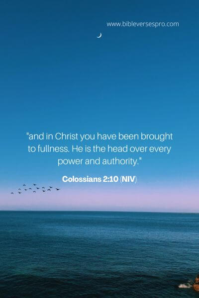 Colossians 2_10 (Niv)