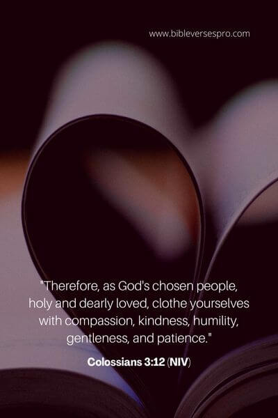 Colossians 3_12 (Niv)