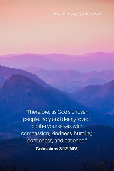 Colossians 3_12 (NIV)
