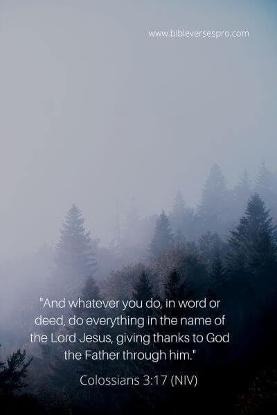 Colossians 3_17 (Niv)