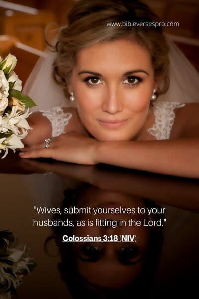Colossians 3_18 (Niv)