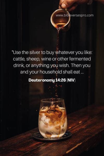 Deuteronomy 14_26 (Niv)