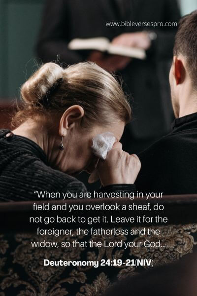Deuteronomy 24_19-21(NIV)
