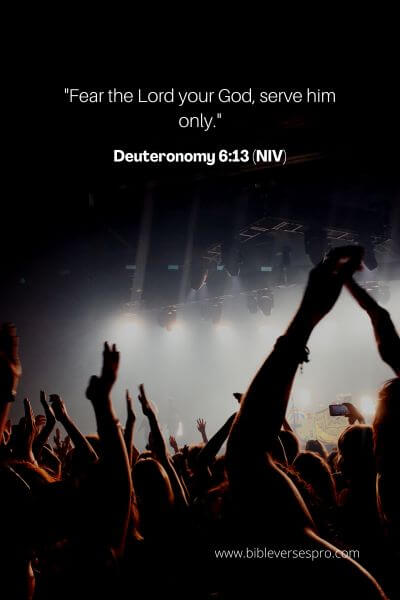 Deuteronomy 6_13 (Niv)