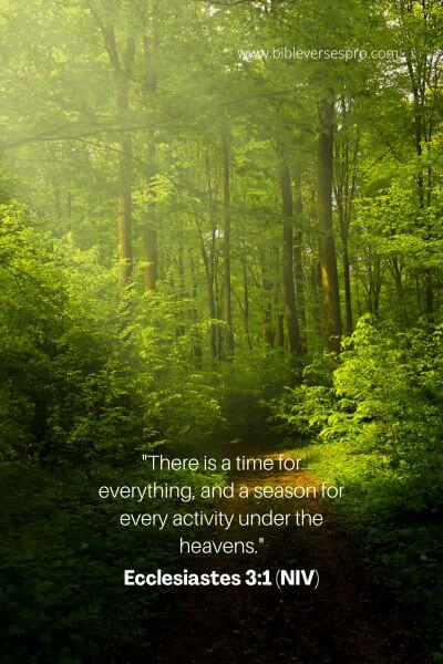 Ecclesiastes 3_1 (Niv)