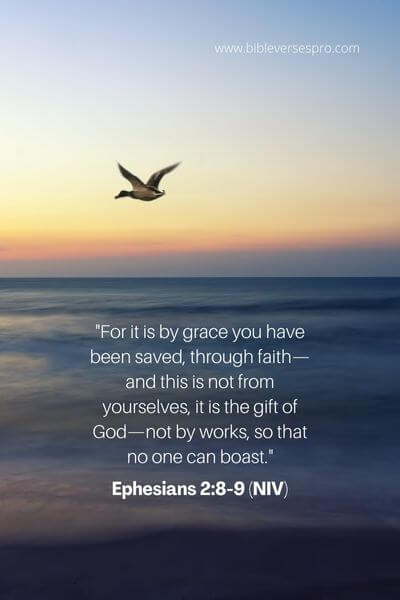 Ephesians 2_8-9 (Niv)