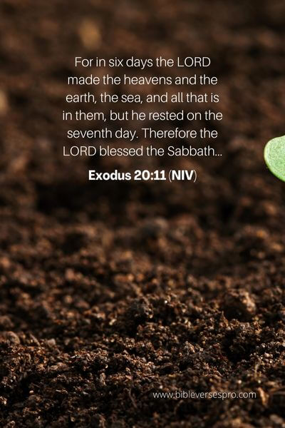 Exodus 20_11 (NIV)