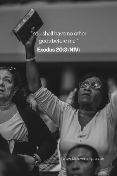 Exodus 20_3 (Niv)